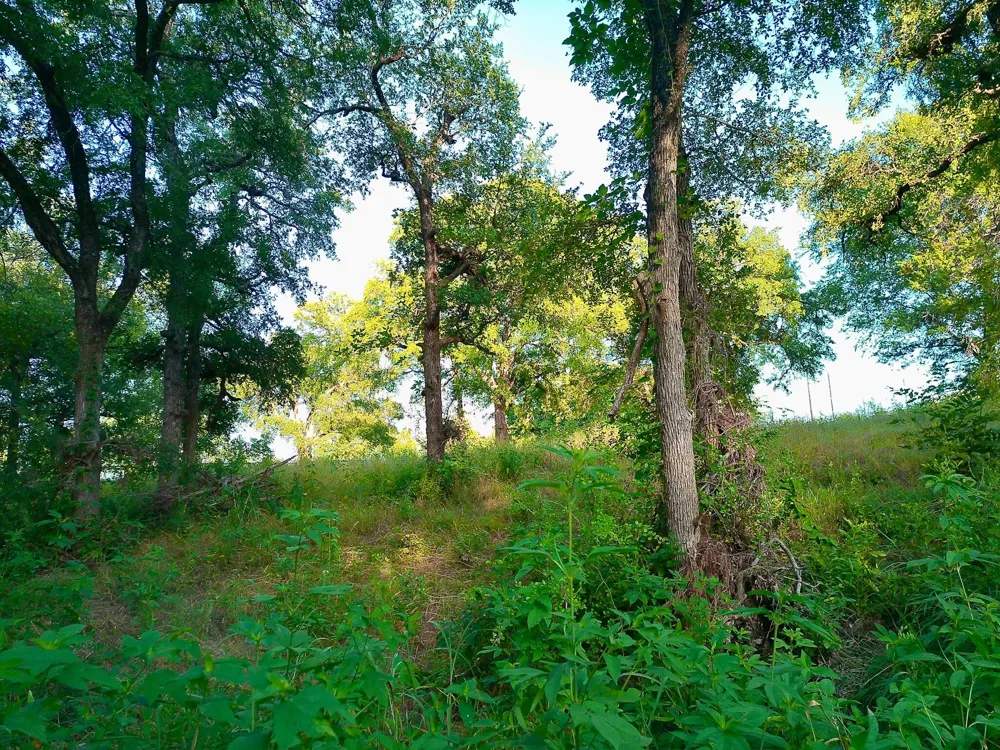 100 Serenity Drive Liberty Hill, TX 78642
