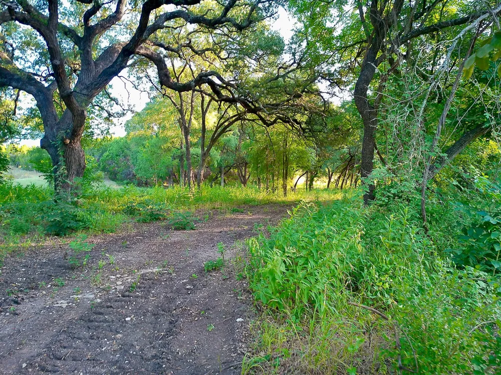 100 Serenity Drive Liberty Hill, TX 78642