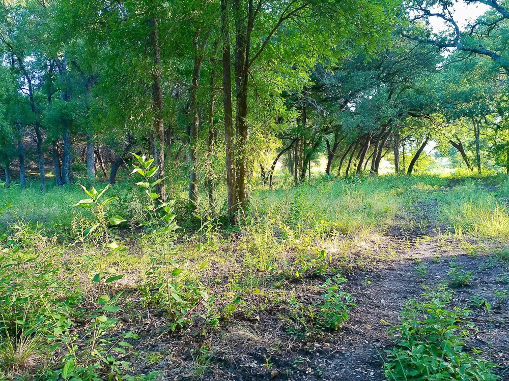100 Serenity Drive Liberty Hill, TX 78642