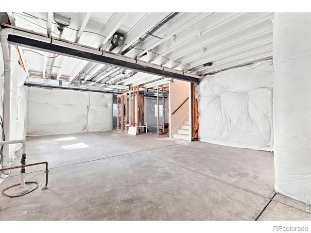 1123 Ibex Drive Severance, CO 80550