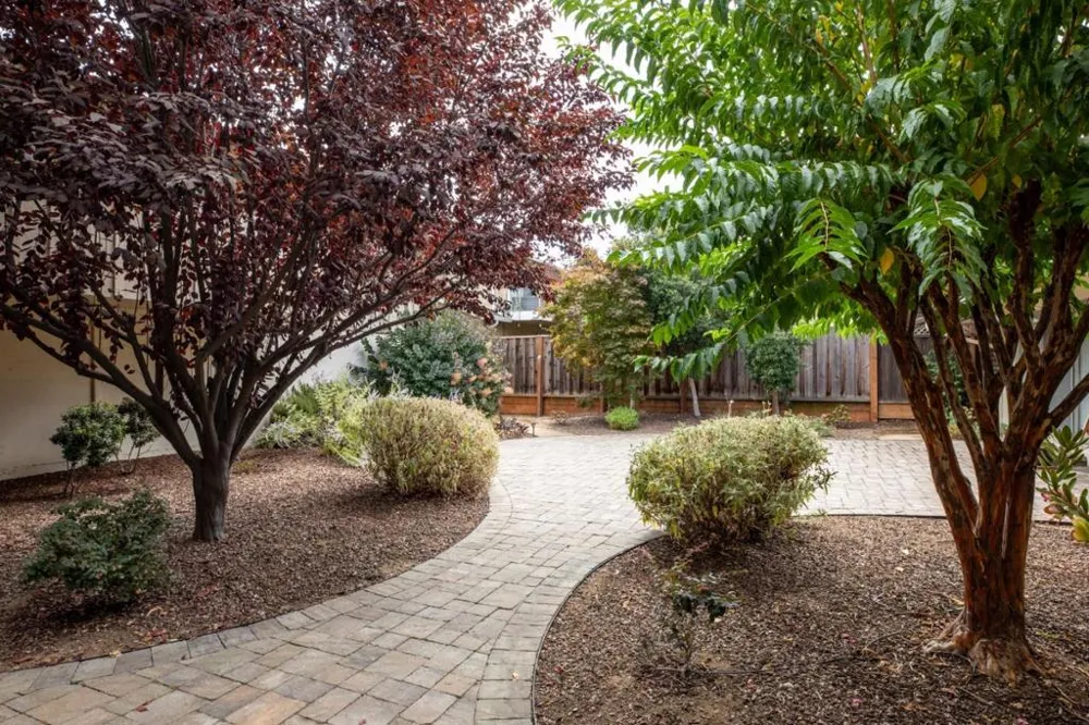 535 Tyndall Street Los Altos, CA 94022