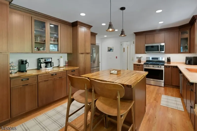 47 Long Ridge Rd Parsippany-Troy Hills, NJ 07869