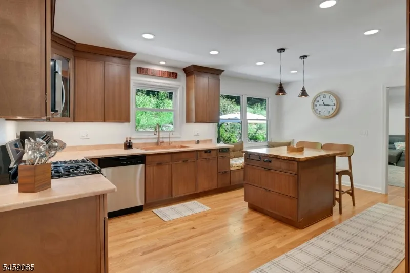 47 Long Ridge Rd Parsippany-Troy Hills, NJ 07869