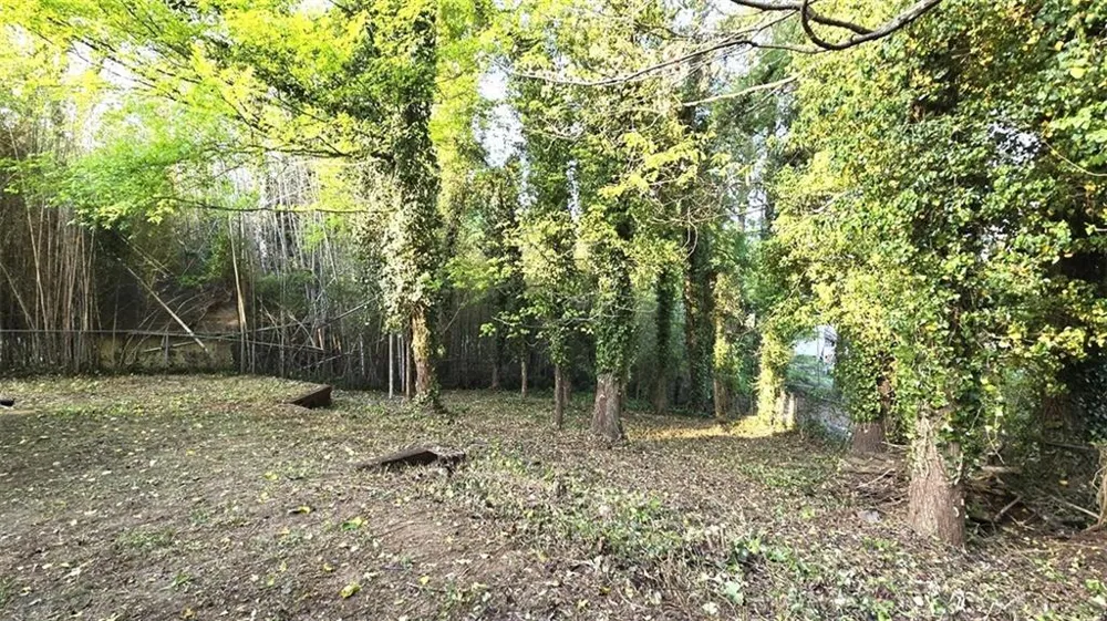 2667 Camelot Court Duluth, GA 30096