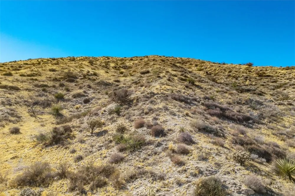 ROCKAWAY Yucca Valley, CA 92284
