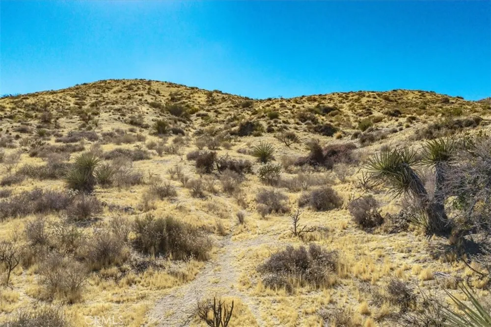 ROCKAWAY Yucca Valley, CA 92284