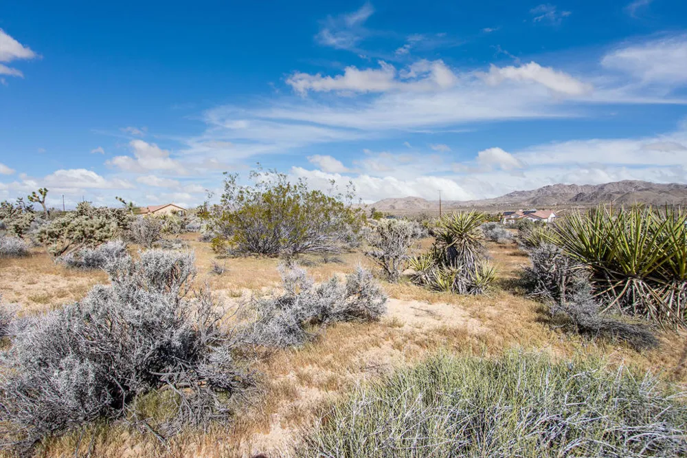 102 Saddleback Road Joshua Tree, CA 92252