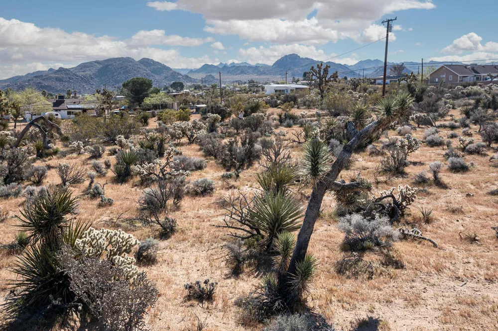102 Saddleback Road Joshua Tree, CA 92252