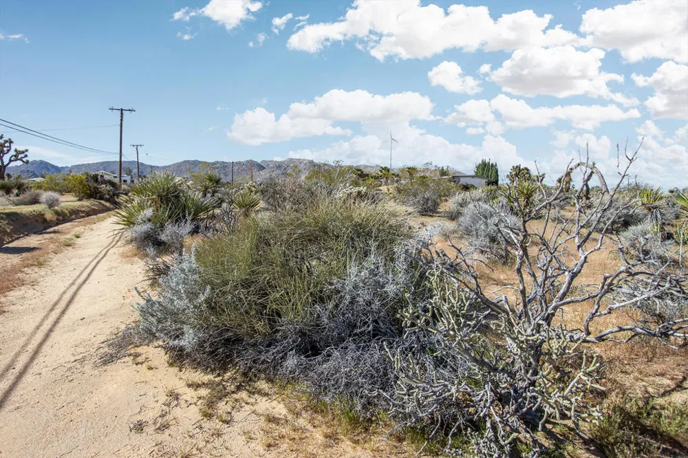 102 Saddleback Road Joshua Tree, CA 92252