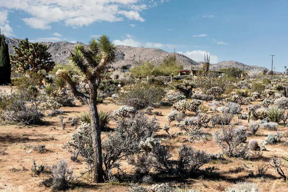 102 Saddleback Road Joshua Tree, CA 92252