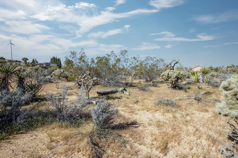102 Saddleback Road Joshua Tree, CA 92252
