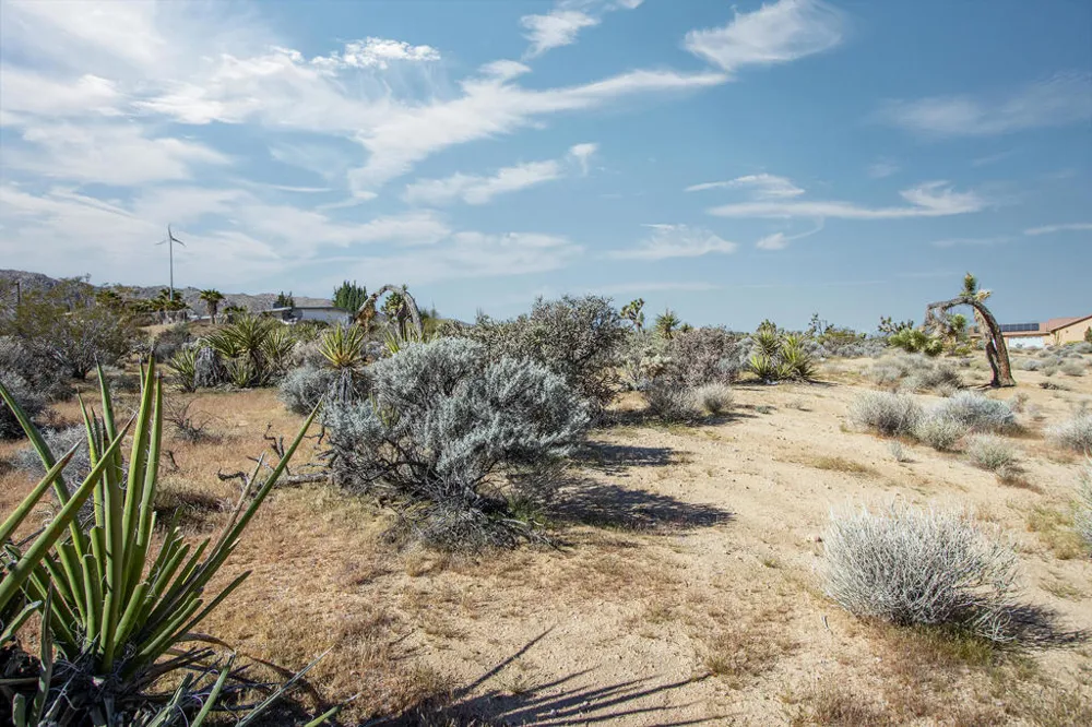 102 Saddleback Road Joshua Tree, CA 92252