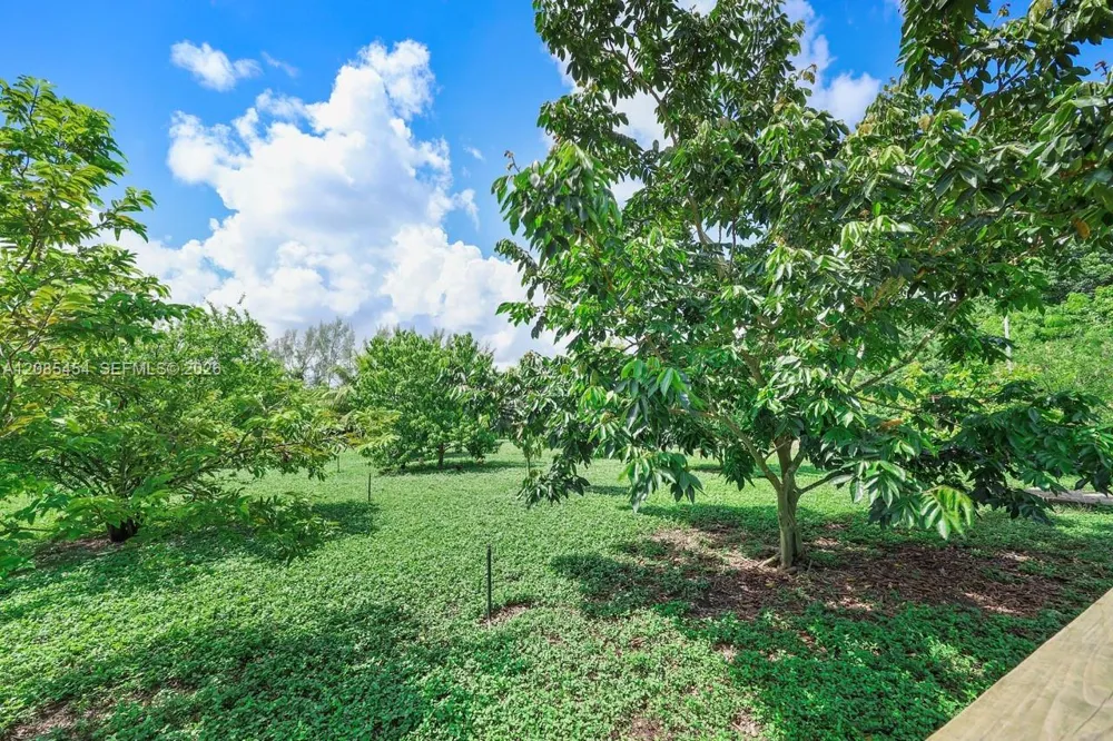 19620 SW 234th St Homestead, FL 33031