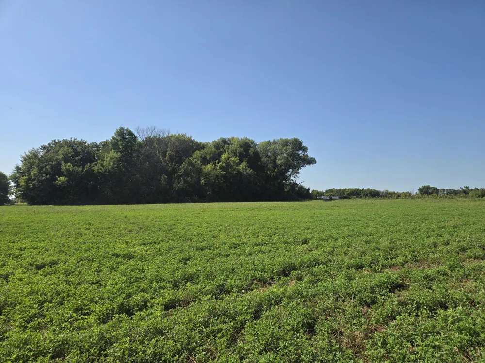 23119 411th Avenue Arlington, MN 55307
