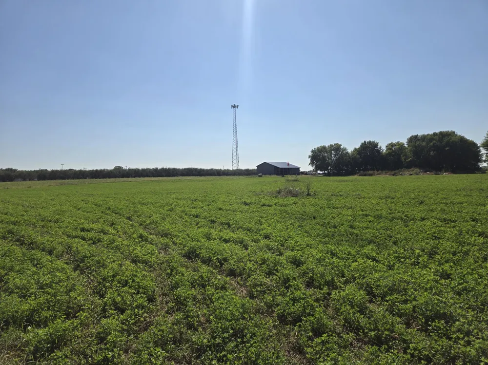 23119 411th Avenue Arlington, MN 55307