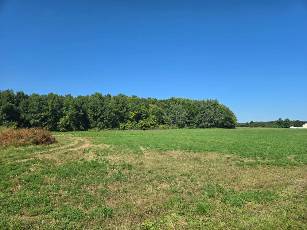 23119 411th Avenue Arlington, MN 55307