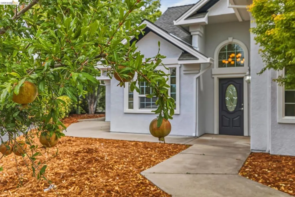 667 Twilight Ct Sonora, CA 95370