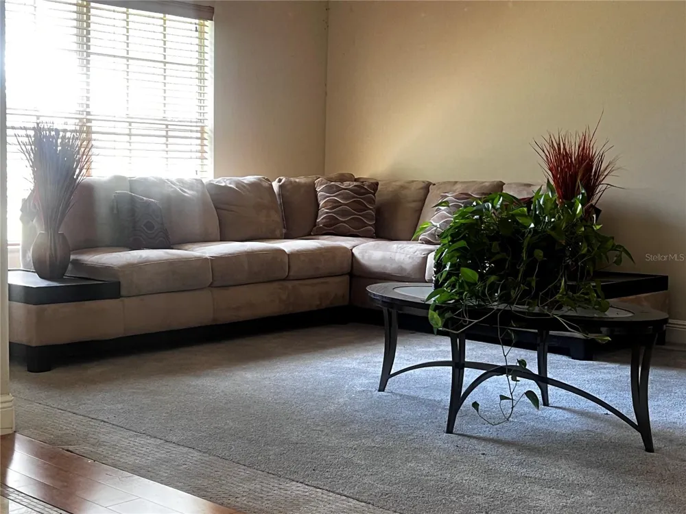 239 LARGOVISTA DRIVE Oakland, FL 34787