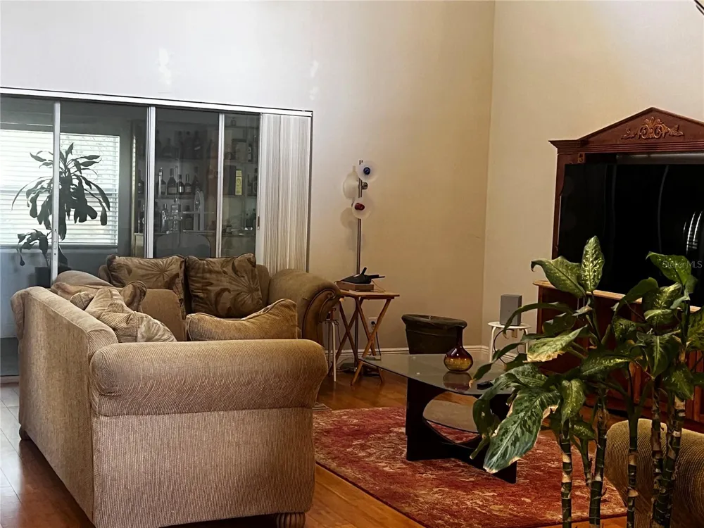 239 LARGOVISTA DRIVE Oakland, FL 34787