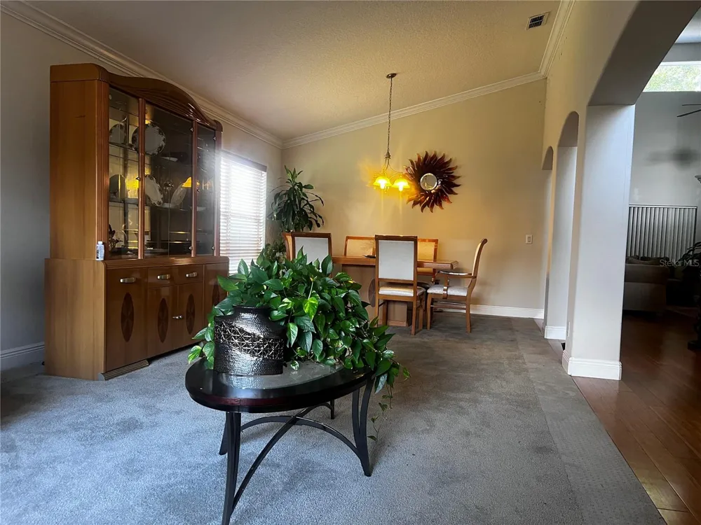 239 LARGOVISTA DRIVE Oakland, FL 34787