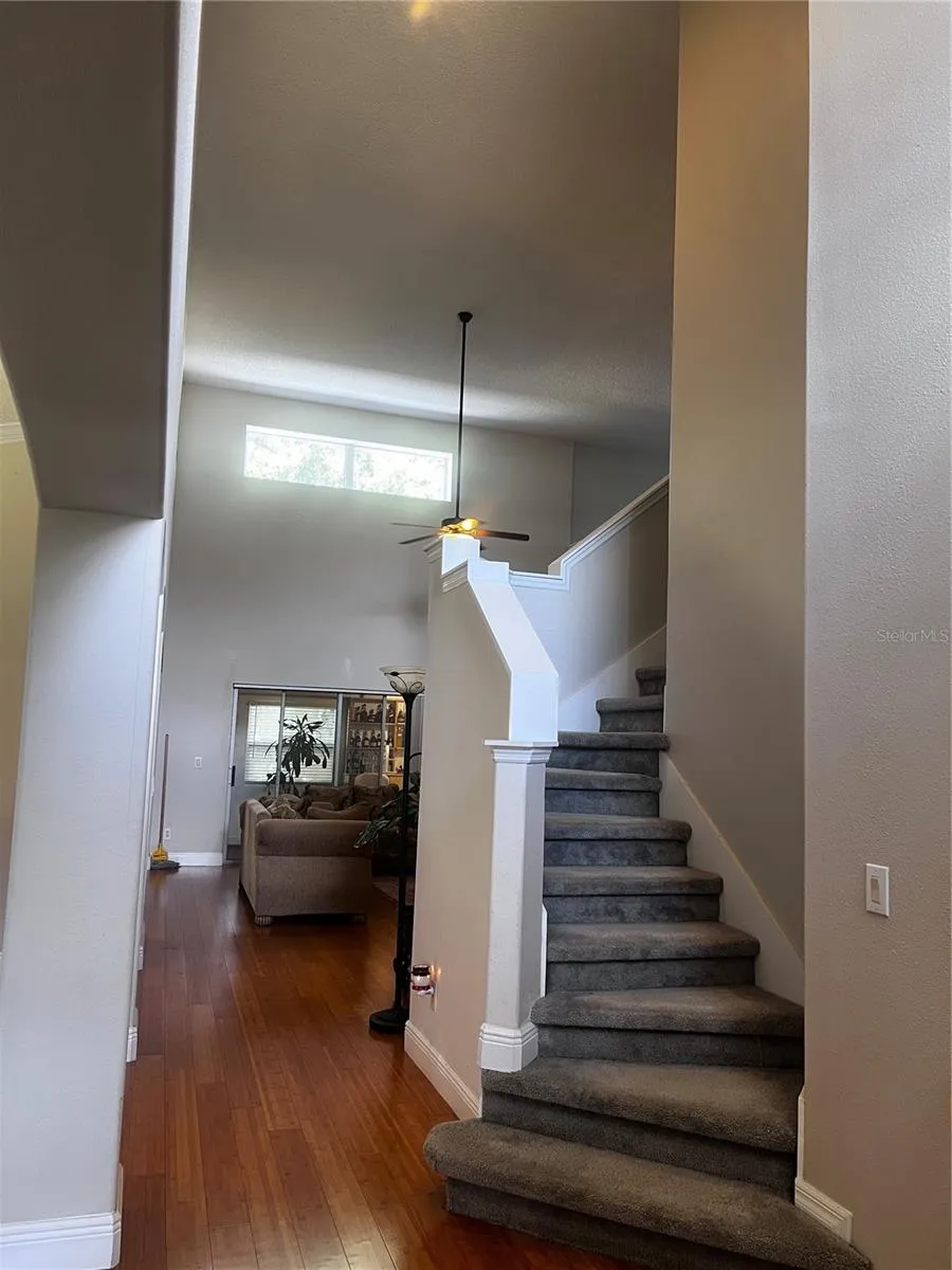 239 LARGOVISTA DRIVE Oakland, FL 34787