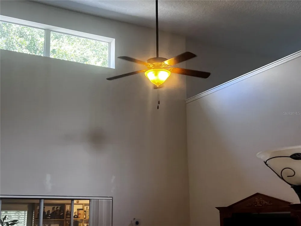 239 LARGOVISTA DRIVE Oakland, FL 34787