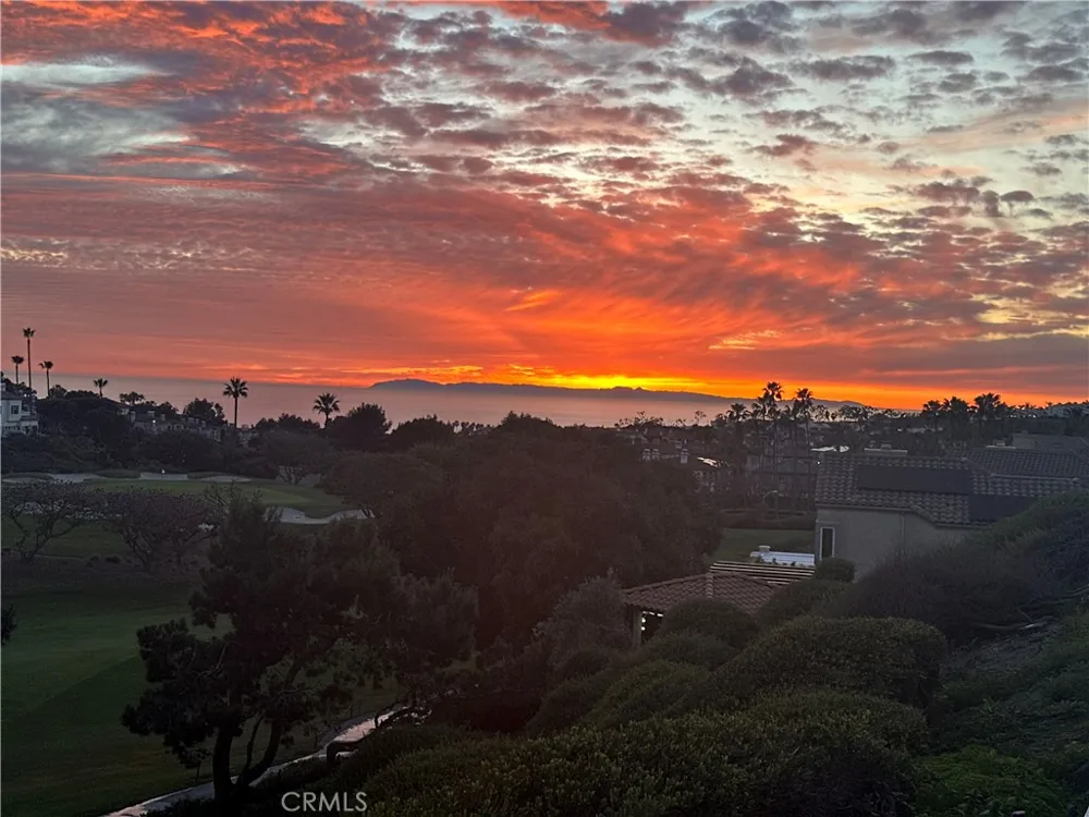 32 Dauphin Dana Point, CA 92629