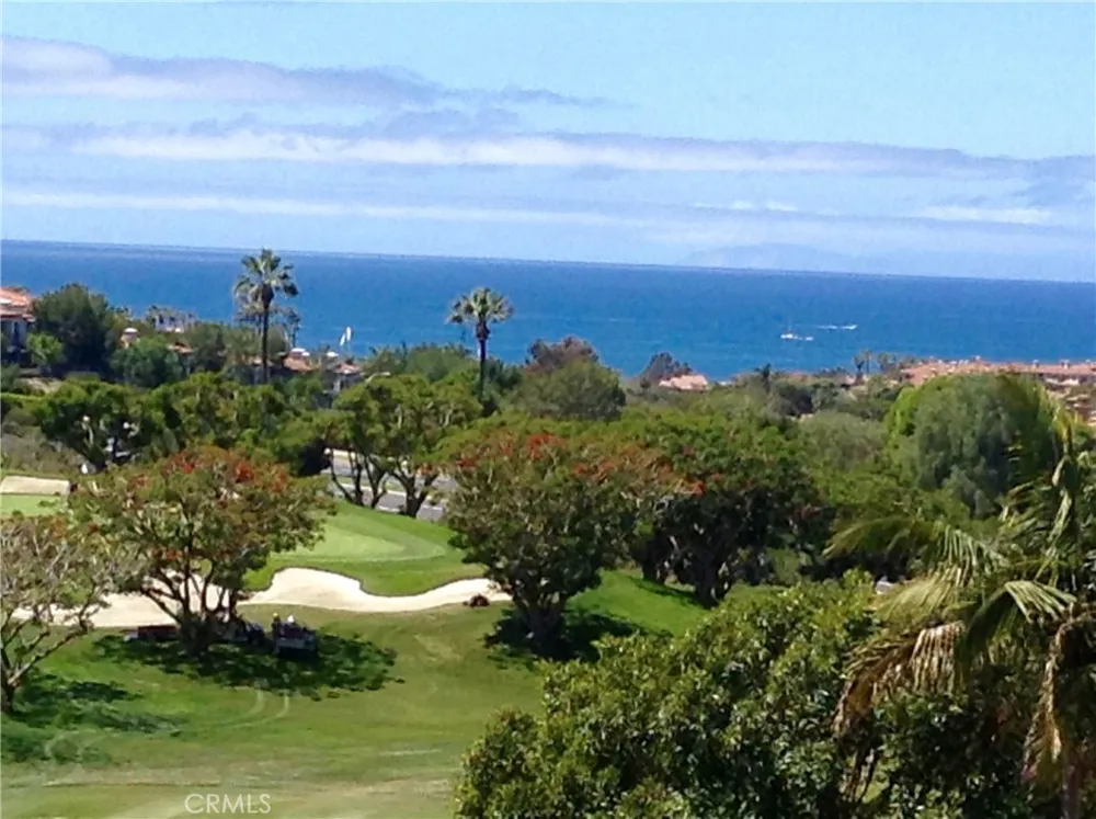 32 Dauphin Dana Point, CA 92629
