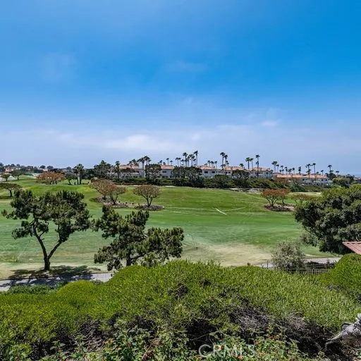 32 Dauphin Dana Point, CA 92629