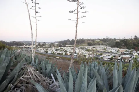 1105 Eucalyptus St