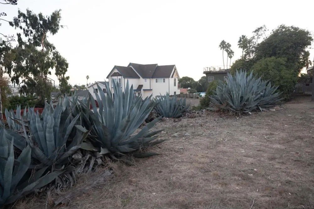 1105 Eucalyptus St Oceanside, CA 92054