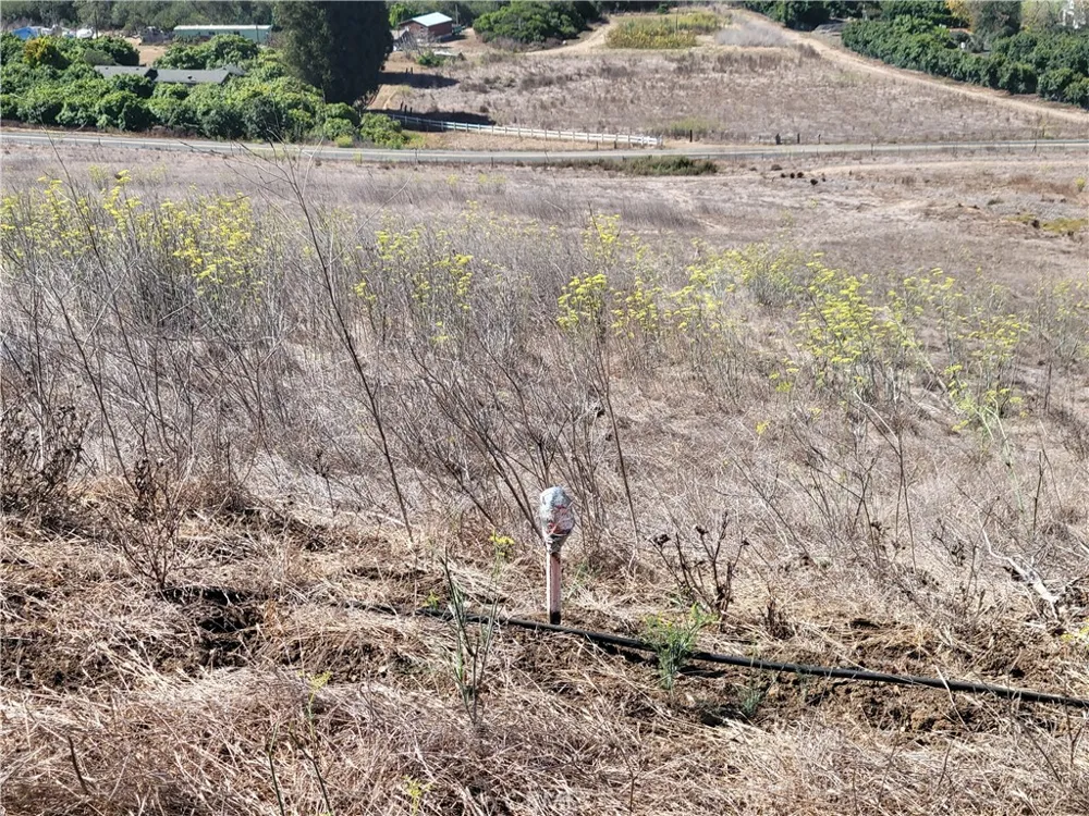Little Morro Creek Morro Bay, CA 93442