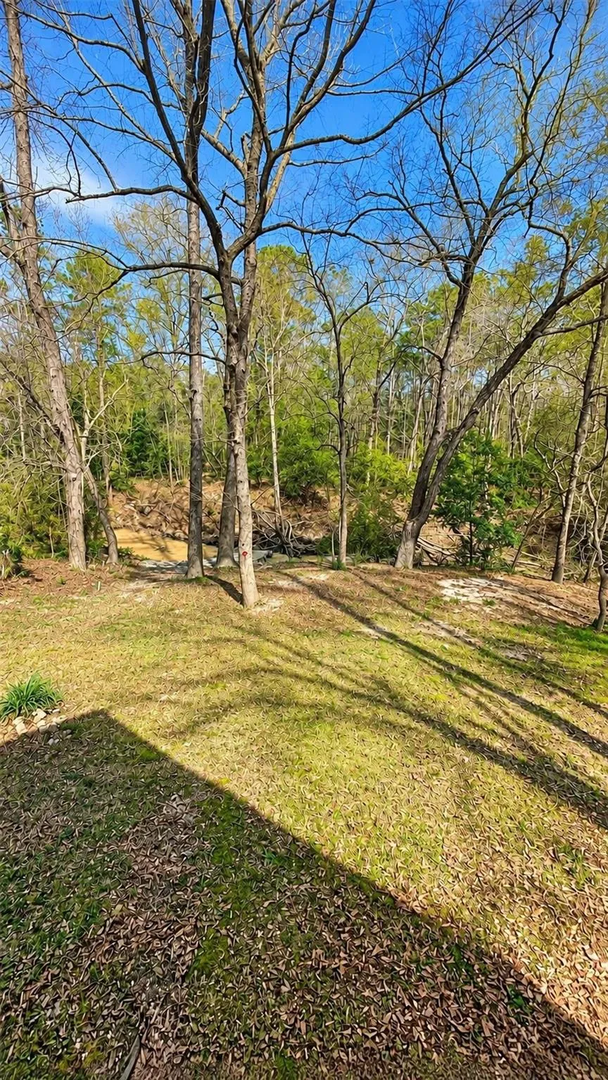21173 Shakey Hollow Conroe, TX 77306