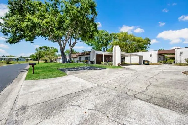 3113 MISSION GROVE DRIVE #3113 Palm Harbor, FL 34684