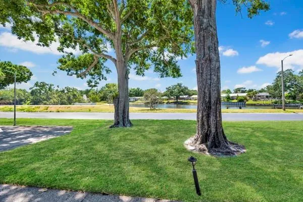 3113 MISSION GROVE DRIVE #3113 Palm Harbor, FL 34684