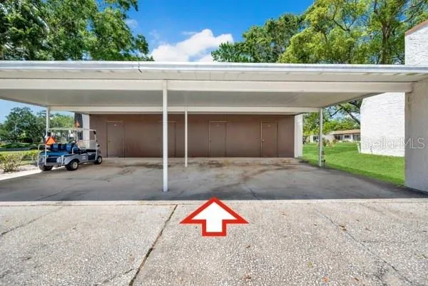 3113 MISSION GROVE DRIVE #3113 Palm Harbor, FL 34684