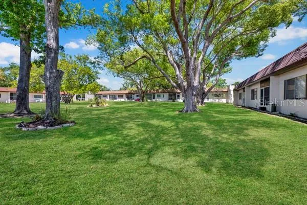 3113 MISSION GROVE DRIVE #3113 Palm Harbor, FL 34684