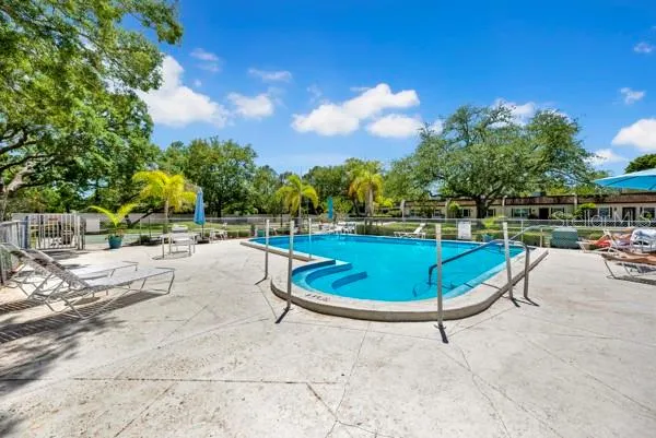 3113 MISSION GROVE DRIVE #3113 Palm Harbor, FL 34684