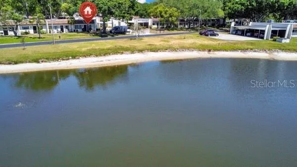 3113 MISSION GROVE DRIVE #3113 Palm Harbor, FL 34684