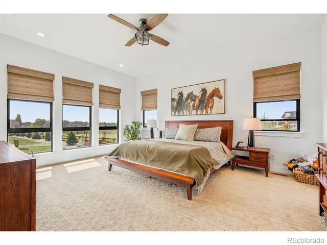 1907 Spring Bloom Drive Windsor, CO 80550