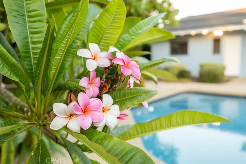405 HILL STREET Monrovia, CA 91016