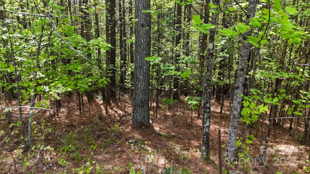 103 W Shortoff Trail NW #113 Valdese, NC 28690