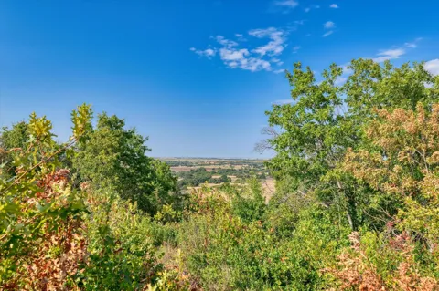 CR 511