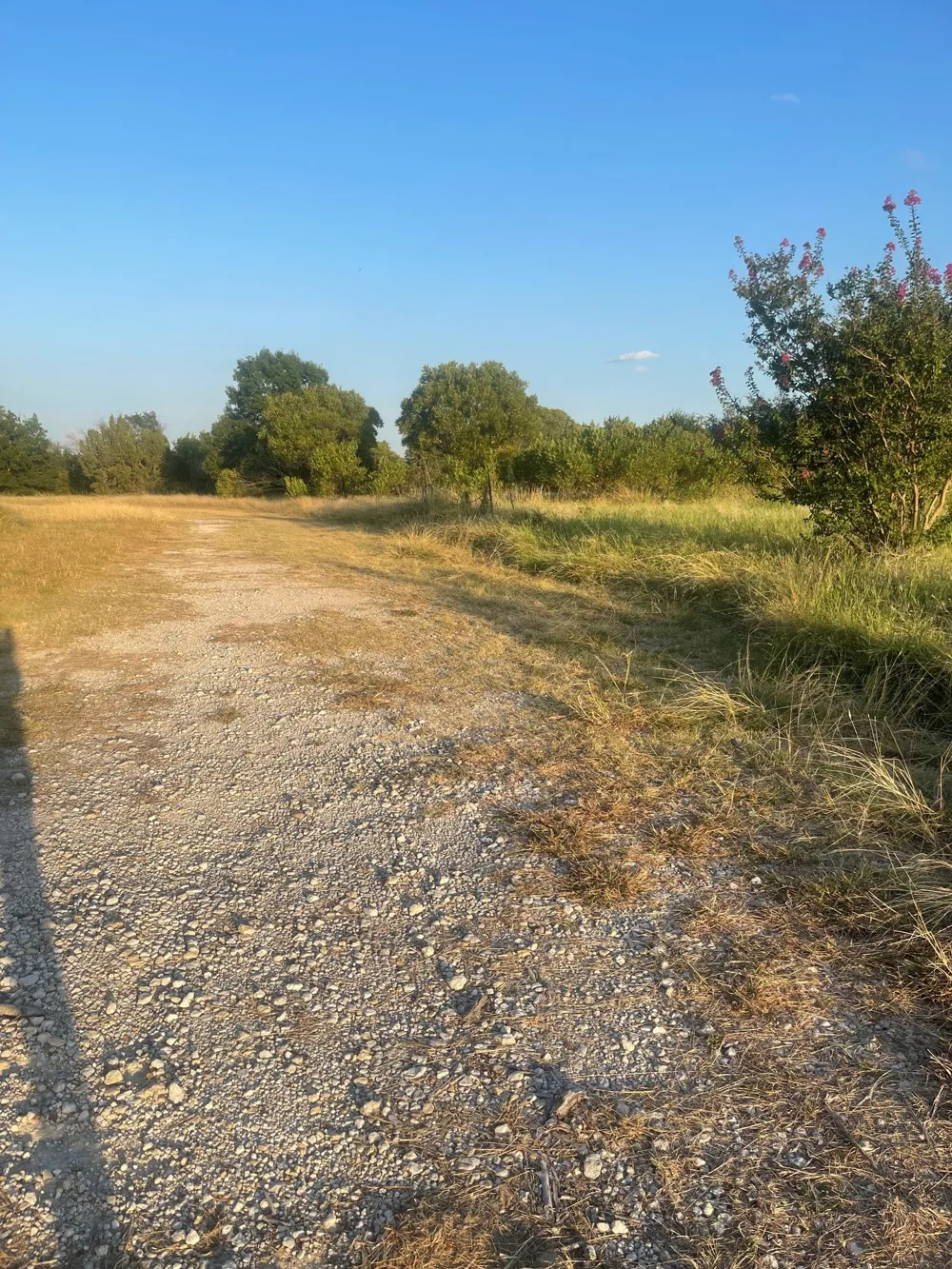 4750 Highway 1702 Gustine, TX 76455