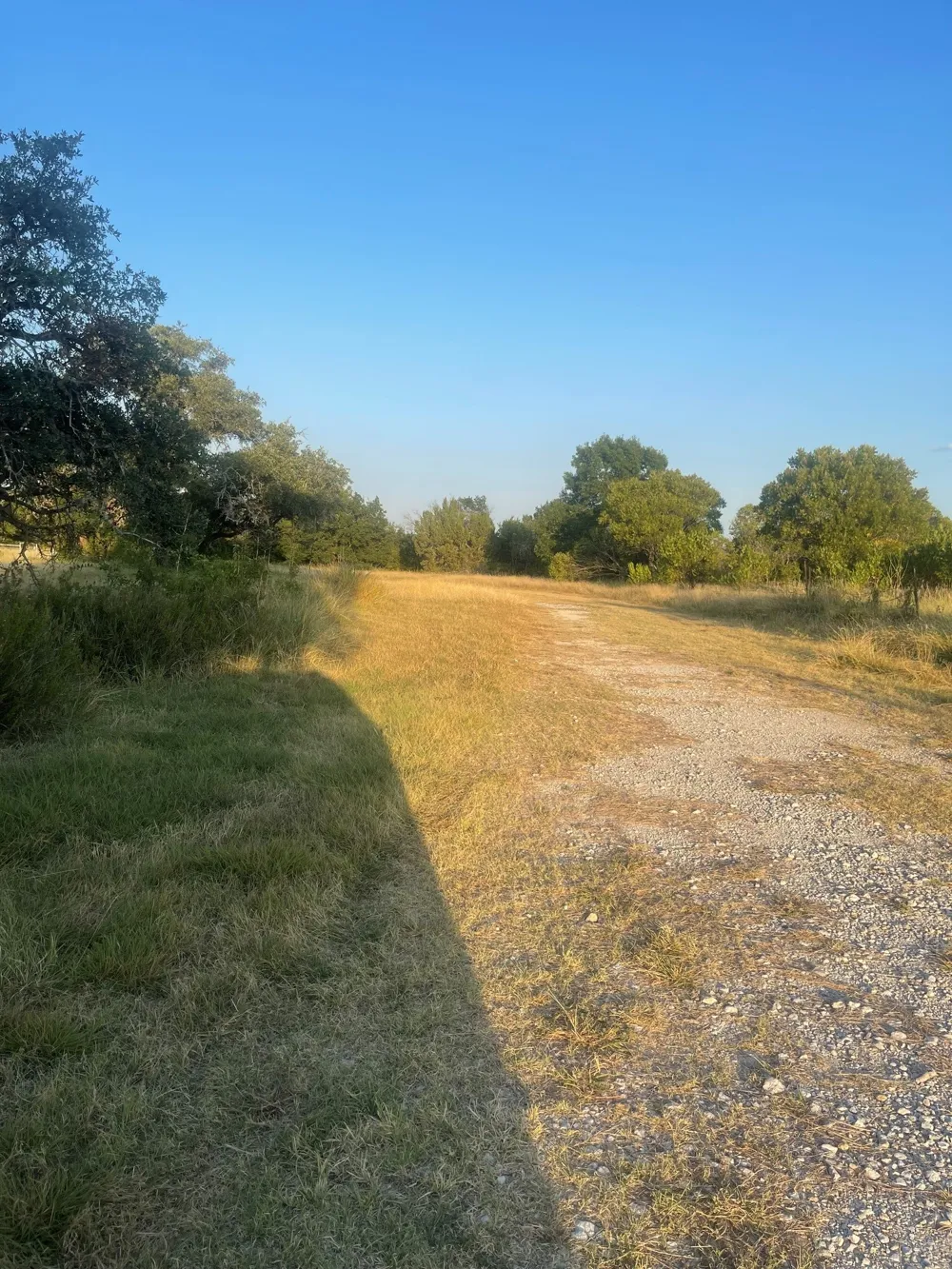 4750 Highway 1702 Gustine, TX 76455