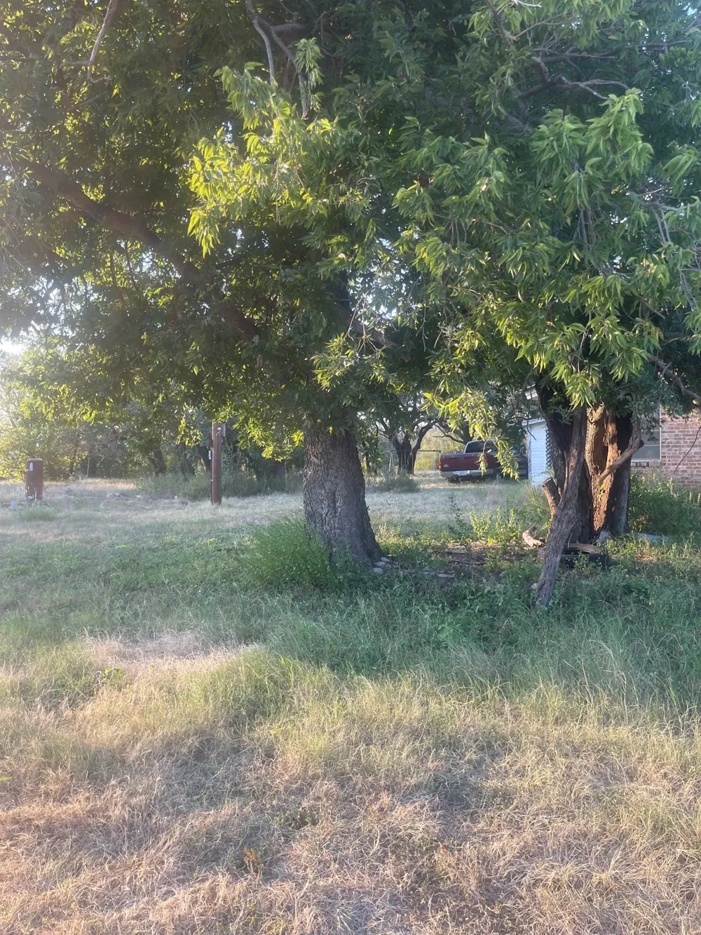 4750 Highway 1702 Gustine, TX 76455