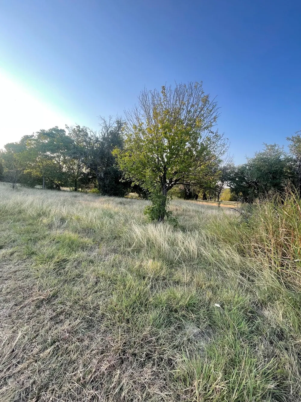 4750 Highway 1702 Gustine, TX 76455