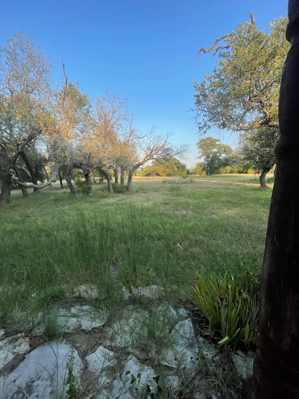 4750 Highway 1702 Gustine, TX 76455