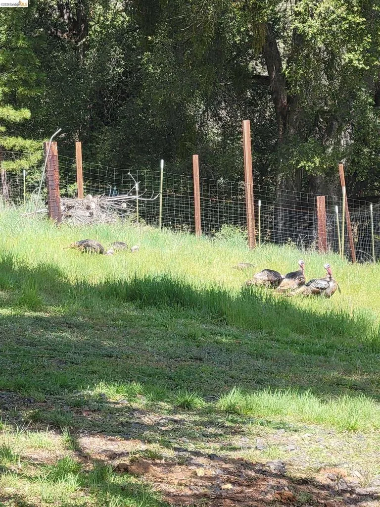 2883 Railroad Flat Rd Wilseyville, CA 95257