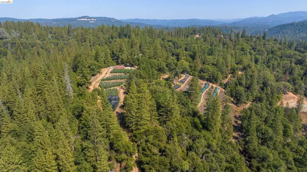 2883 Railroad Flat Rd Wilseyville, CA 95257